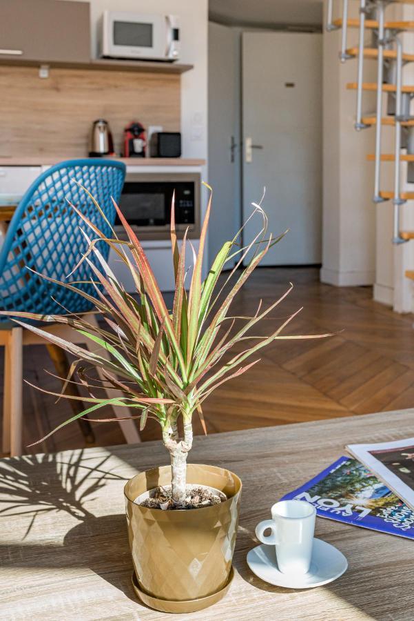 Le Royale Haussmann 4 Places Loft Canut Lyon Eksteriør billede